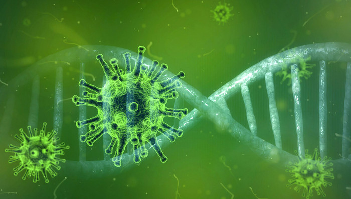 新冠肺炎,非洲社会