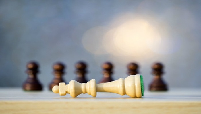 红杉资本发内部信：企业家要做好应对“黑天鹅”的准备