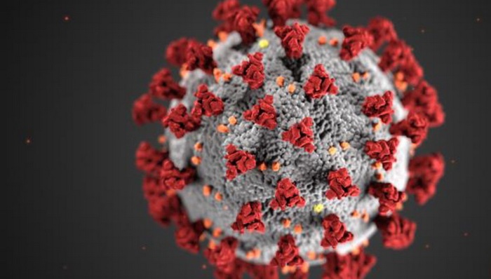 美国社会,天下故事,新冠肺炎