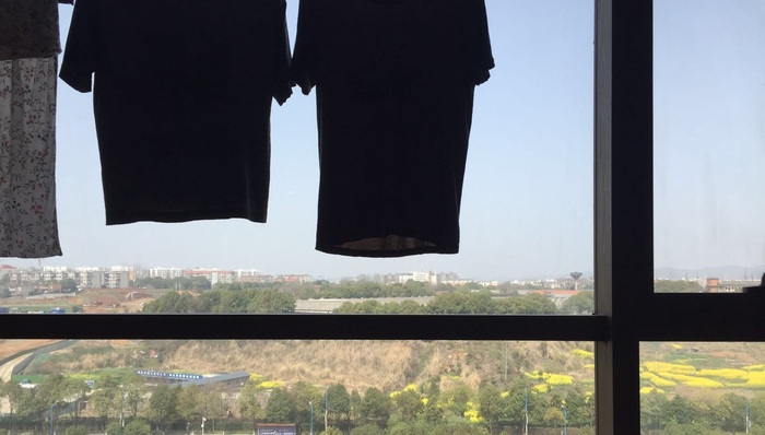 文学,诗人,新冠肺炎