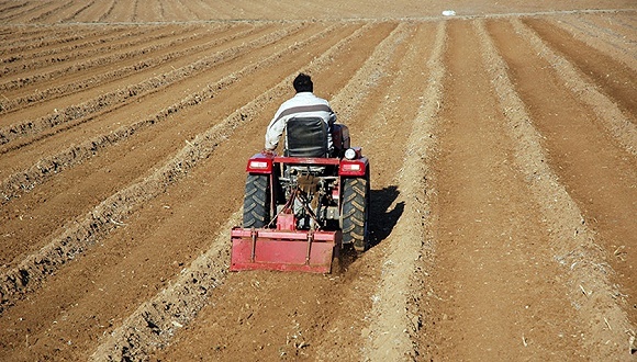 农用地“转性”审批权下放，这些地区的土地市场迎来利好