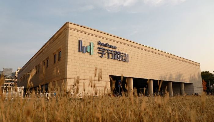 MCN,字节,杨颖,wer,or,YouTube,明星艺人,明星经纪,星期六,papitube