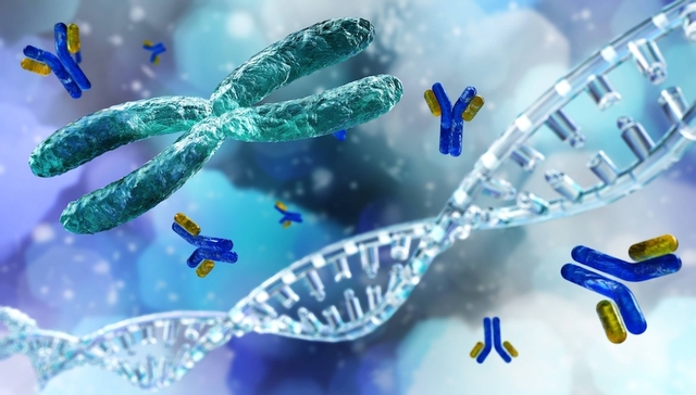 荷兰团队称首度发现全人源单克隆抗体，为防治新冠提供新可能