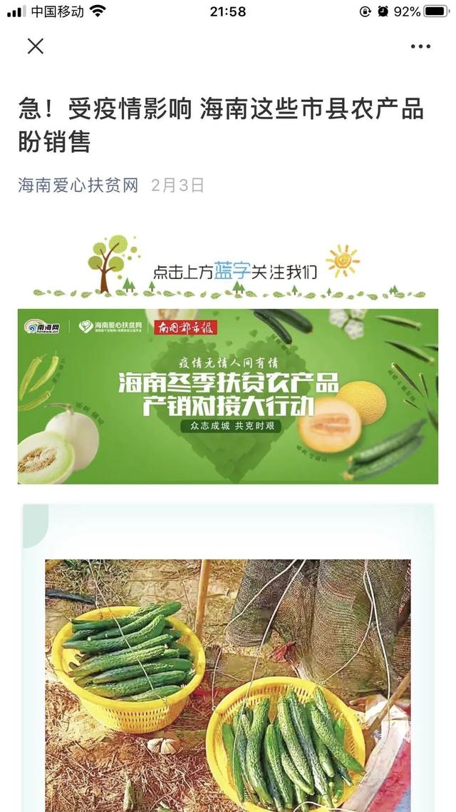 滞销腐烂,动辄百万千万的损失,海南水果的自救与营救