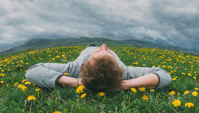 在日益喧闹的世界里，安静之书正蓬勃生长