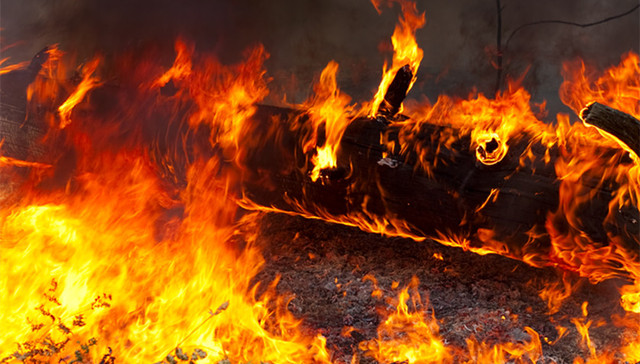 京津冀多地突发火灾，北方遭遇今年以来最强大风
