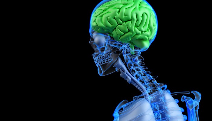 美科学家发现恐惧由来，可帮助应激障碍患者采用新方法治疗丨硬科技