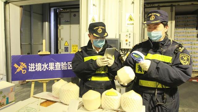 新鲜水果,通关,上海海关,进口水果