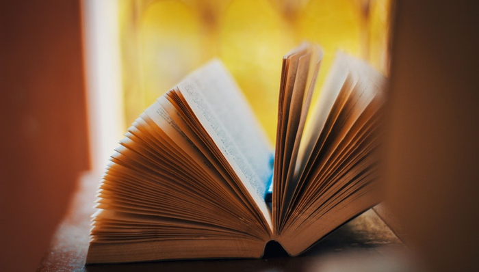 木兰科植物,染井吉野,协商民主,均衡设置,艺考,学生事务,上海老饭店,错题,随申码,错峰