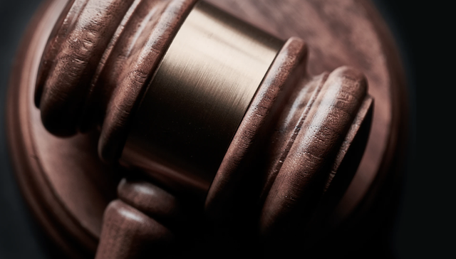 临港新片区，浦东法院