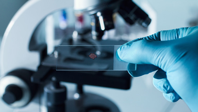 2020年度国家科学技术奖提名公布，钟南山团队入围