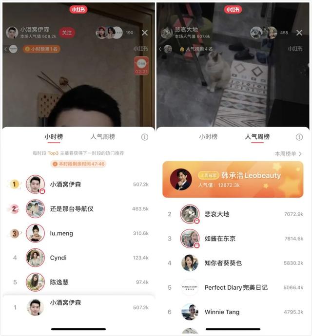 曾因违规被下架，日活最高3000万，直播能否成为小红书的加速器