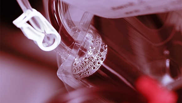 出血热，疫情，流行病