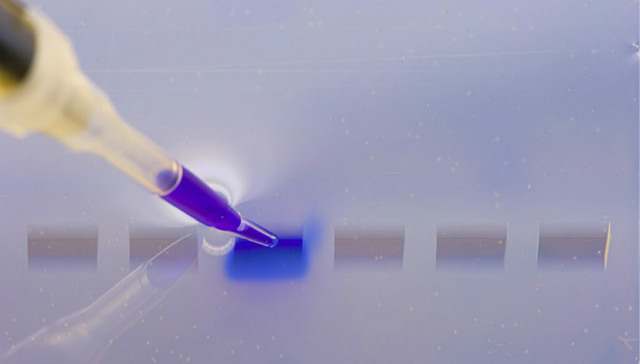 上海,科创企业,试剂,核酸