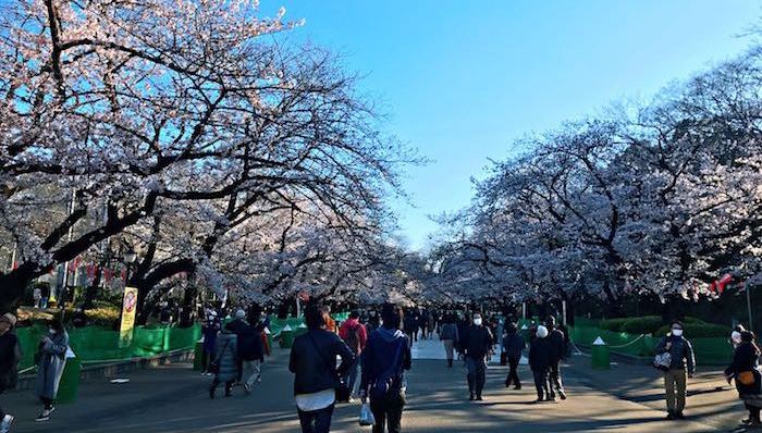 亚洲社会,天下故事