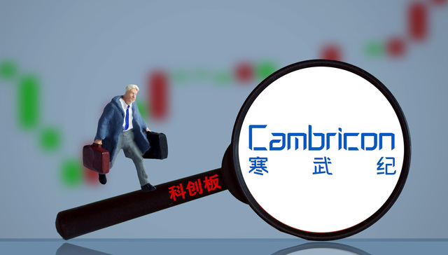 IPO雷达｜政府收入占三分之二，AI芯片公司寒武纪沦为“包工头”