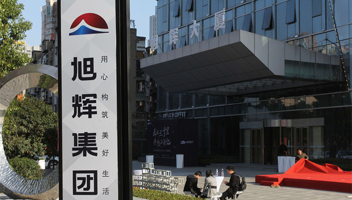 地产商,年报,旭辉控股