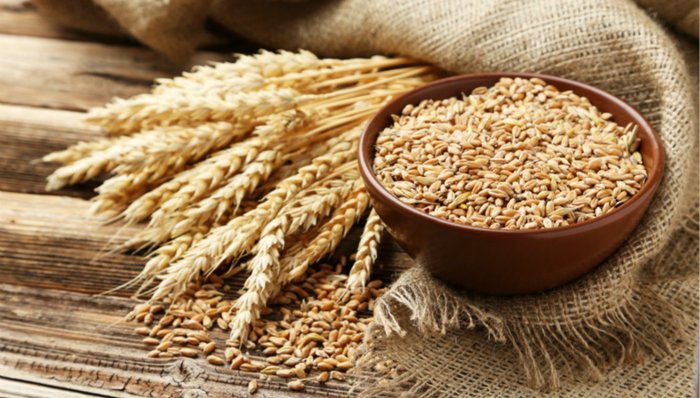 新型冠状病毒肺炎,疫情防控,粮食出口禁令,粮食安全