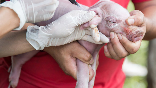 上市公司,生物股份