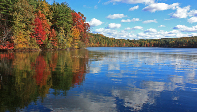 “真实的人先于社会人”：为什么今天重读《瓦尔登湖》意义重大？