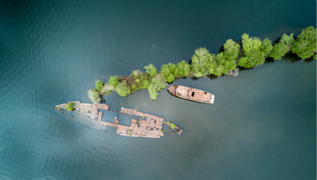 软银,风险投资,创业公司