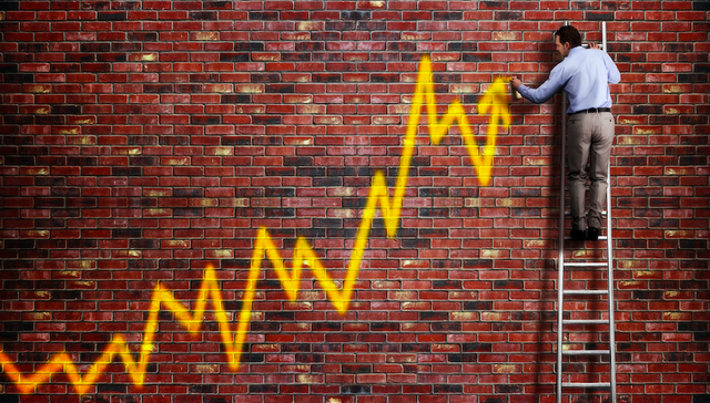 禾丰牧业,2019年年报,年报,增长,饲料,禽类,猪产业,增长,回购