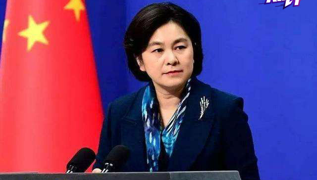 海外留学生,祖国,海外学子,外交部发言人,留学人员,党中央,例行记者会,肺炎,新冠,家国情怀