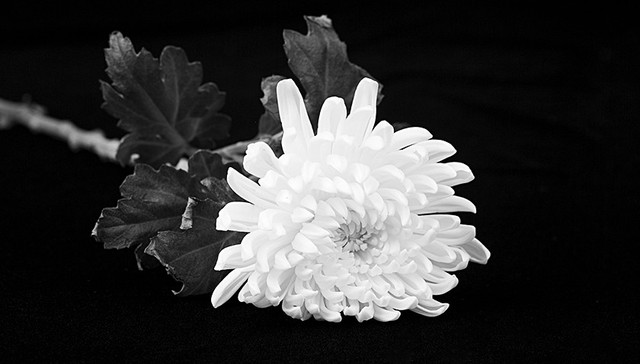 孝感42岁医生黄文军感染新冠肺炎殉职