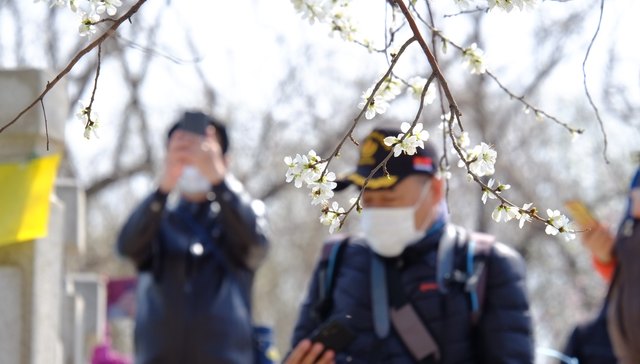电子导览上市公司驴迹科技：疫情影响不大，客户量整体增加