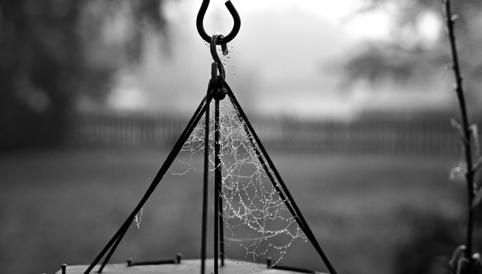 上市公司,瑞幸咖啡