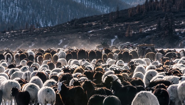 策克口岸,油田,蒙古国,网记者,甘其毛都,双方,原油生产,中蒙,苏海图,2005年