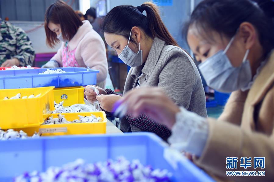 #（聚焦复工复产）（2）湖北恩施：“扶贫工厂”复工就业忙