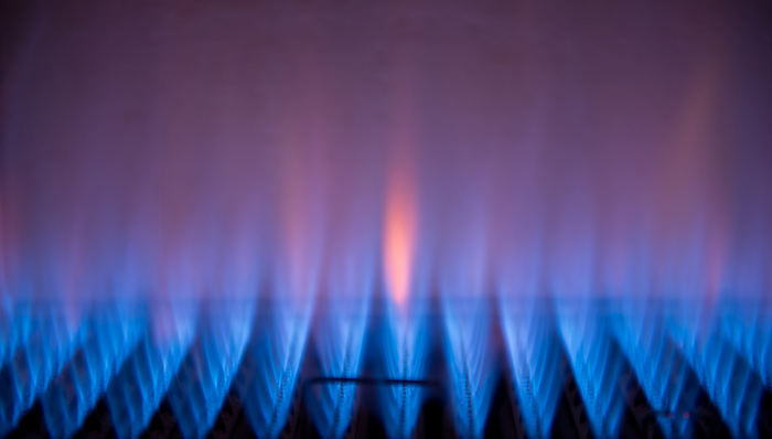 财报，燃气，天然气，公司，上市