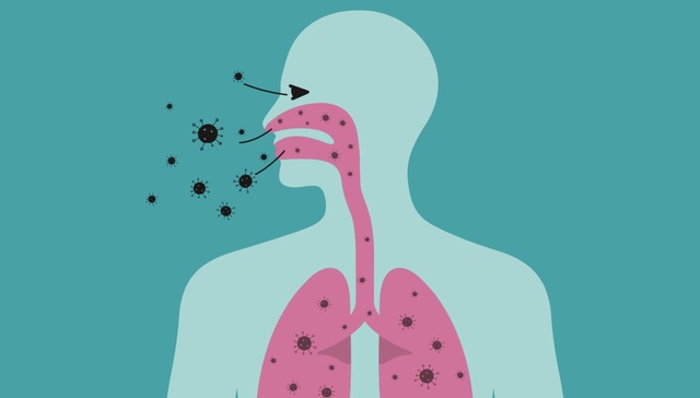 武汉疾控中心《自然》子刊发文：在一月初武汉呈流感状患者体内检测出新冠病毒