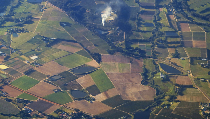 临港新片区，直播，土地推介会,而立浦东