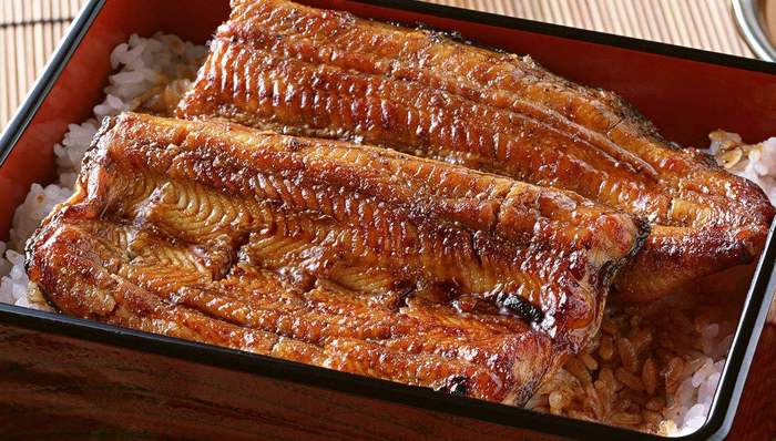 日本鳗鱼价格三年来首次下降