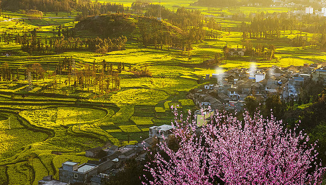 龙驹镇,芦花鸡,科技特派员,万州,科技企业,2019年,重庆三峡学院,汶上,硬骨头,散养