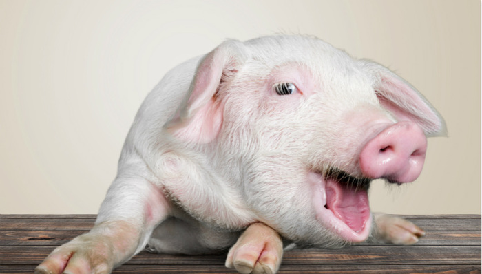 牧原股份造富神话：278亿市值限售股解禁，股东收益超8倍