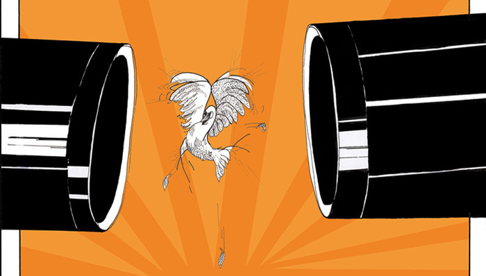 财说| 异常出现在两年前，银鸽投资还有多少谎言？