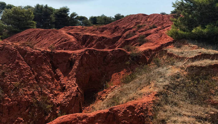 财报那些事,电解铝