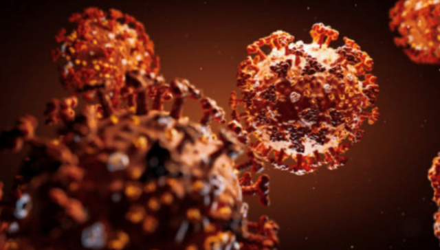 新冠,病毒学家,美媒,科学家研究,实验室设计,自然科学,商业内幕,democracy,now,科学美