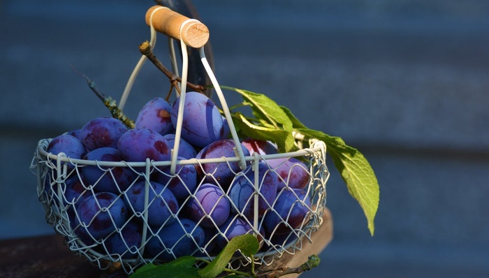 印度,生鲜电商,创业