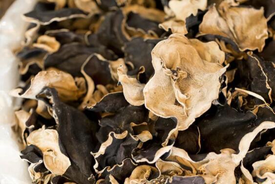 产业政策扶持 税收政策助力——陕西柞水：小木耳撬动大产业