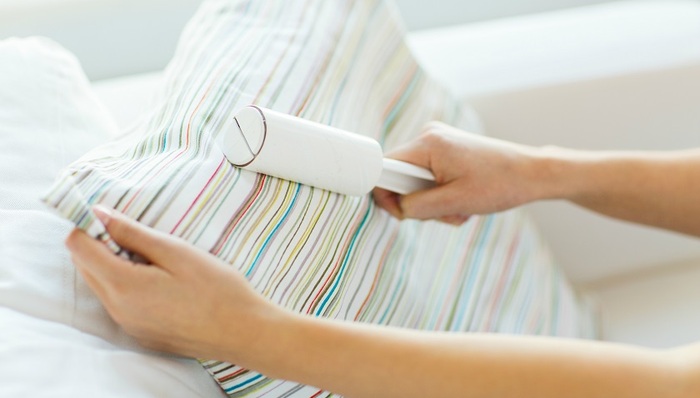 上海市家政服务条例,家政服务平台,备案