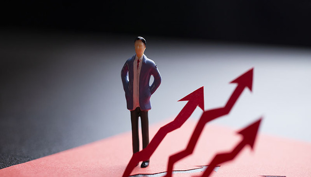 瑞丰汇邦,金汇荣盛