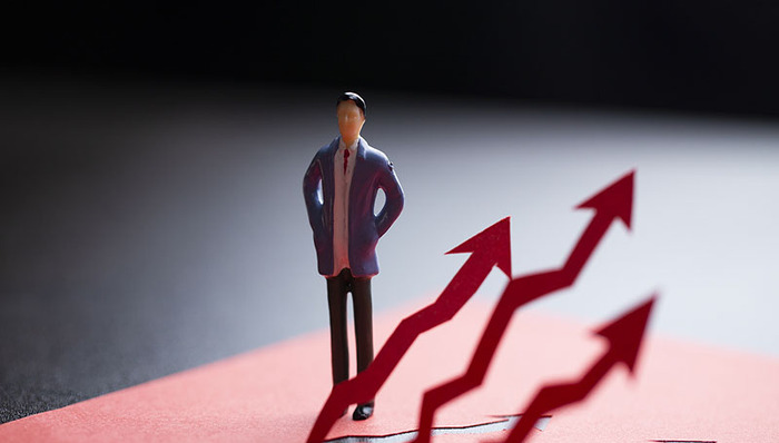 瑞丰汇邦,金汇荣盛