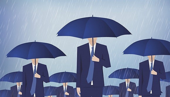 保险,上市公司,业绩快报