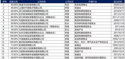巨头沉浮录丨新湖中宝入股绿城，神秘温州富豪“造系”二十六年