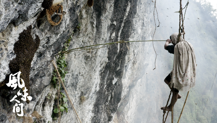 “深夜放毒”大师陈晓卿又回来了，美食暴击纪录片《风味人间》第二季上线
