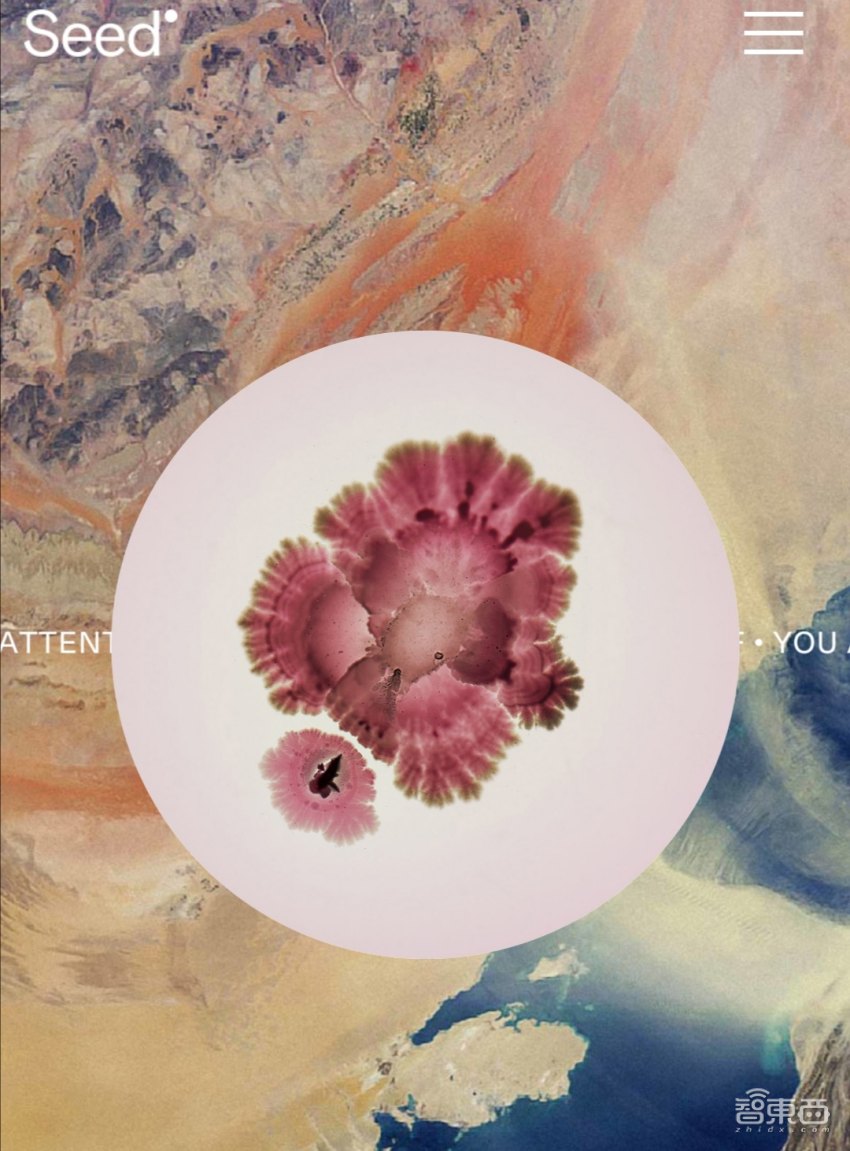 国外十大科技抗疫新玩法：网课实时字幕、餐厅地图和在线日记疗法